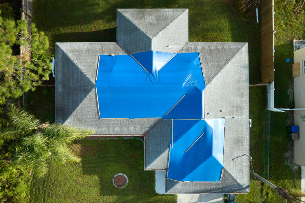 Best Sheet Metal Roofing  in Welby, CO